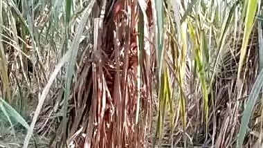 Village girl fucking in jungle 2 Clips Merged